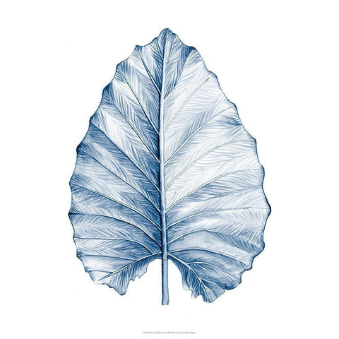 Indigo Tropical Leaves III Gold Ornate Wood Framed Art Print with Double Matting by Meagher, Megan