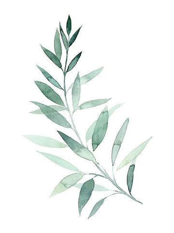 Sea Glass Sprig I White Modern Wood Framed Art Print with Double Matting by Popp, Grace