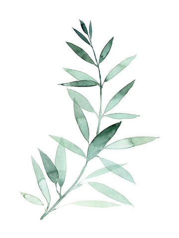 Sea Glass Sprig II White Modern Wood Framed Art Print with Double Matting by Popp, Grace