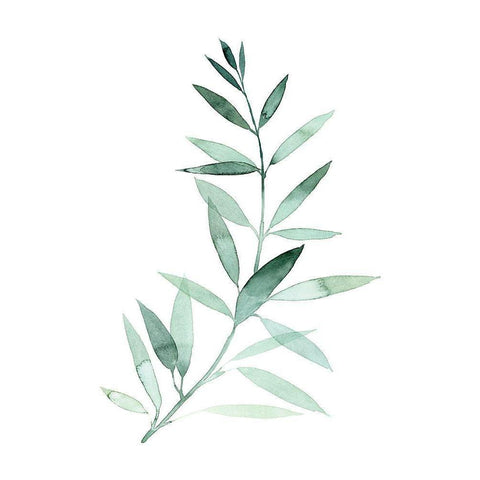 Sea Glass Sprig II Black Modern Wood Framed Art Print by Popp, Grace