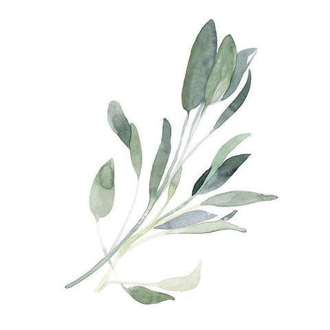 Simple Sage I White Modern Wood Framed Art Print by Scarvey, Emma