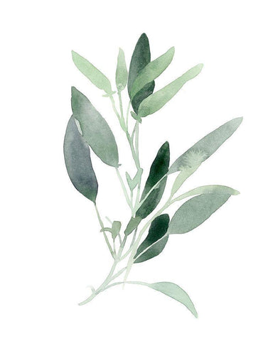 Simple Sage III White Modern Wood Framed Art Print with Double Matting by Scarvey, Emma