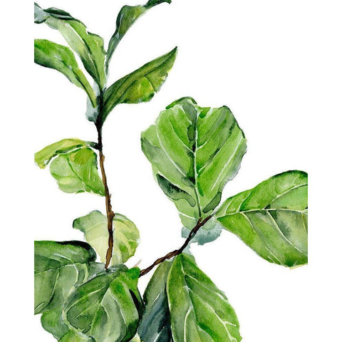 Fiddle Fig II White Modern Wood Framed Art Print by Parker, Jennifer Paxton