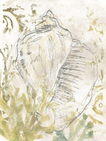 Verdant Shell Fresco I Black Ornate Wood Framed Art Print with Double Matting by Vess, June Erica