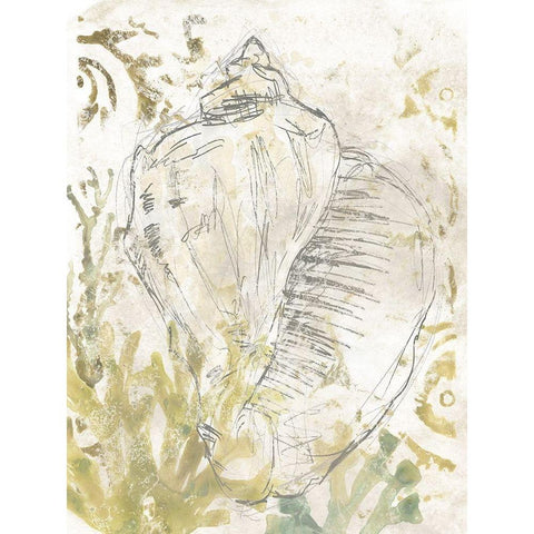 Verdant Shell Fresco I Black Modern Wood Framed Art Print with Double Matting by Vess, June Erica