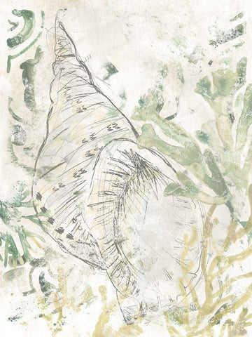 Verdant Shell Fresco II White Modern Wood Framed Art Print with Double Matting by Vess, June Erica