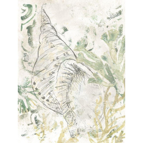 Verdant Shell Fresco II Black Modern Wood Framed Art Print with Double Matting by Vess, June Erica