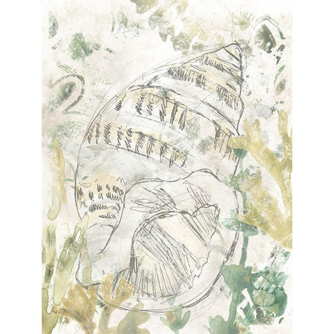 Verdant Shell Fresco III White Modern Wood Framed Art Print by Vess, June Erica