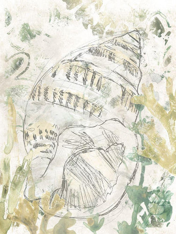 Verdant Shell Fresco III White Modern Wood Framed Art Print with Double Matting by Vess, June Erica