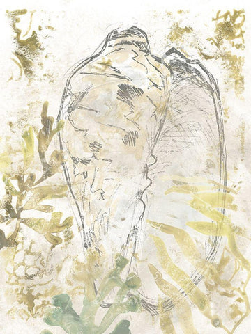 Verdant Shell Fresco IV Black Ornate Wood Framed Art Print with Double Matting by Vess, June Erica