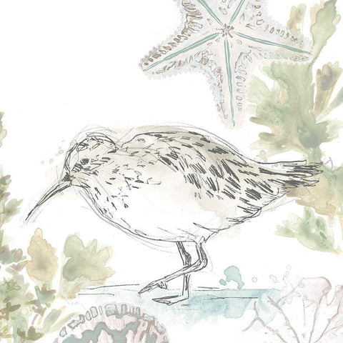 Seaside Sandpipers II Gold Ornate Wood Framed Art Print with Double Matting by Vess, June Erica