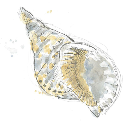 Citron Shell Sketch II White Modern Wood Framed Art Print by Vess, June Erica