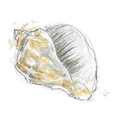 Citron Shell Sketch III Black Modern Wood Framed Art Print by Vess, June Erica