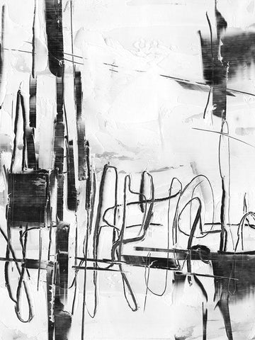 Polar Storm I Black Ornate Wood Framed Art Print with Double Matting by Harper, Ethan