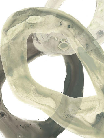 Concentric Lichen II White Modern Wood Framed Art Print with Double Matting by Vess, June Erica