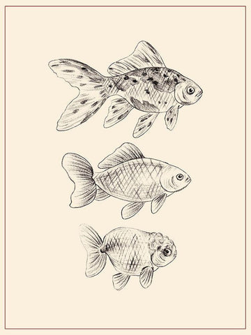 Goldfish I White Modern Wood Framed Art Print with Double Matting by Wang, Melissa