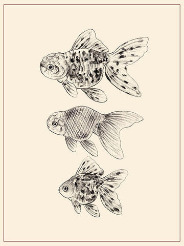 Goldfish II Black Ornate Wood Framed Art Print with Double Matting by Wang, Melissa