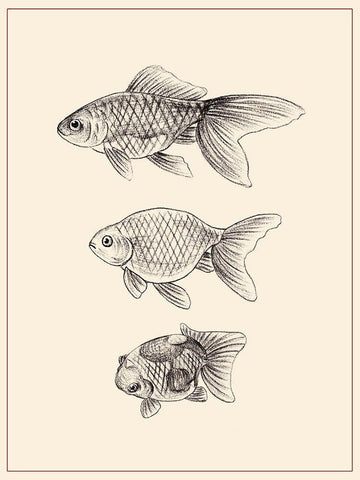 Goldfish IV White Modern Wood Framed Art Print with Double Matting by Wang, Melissa