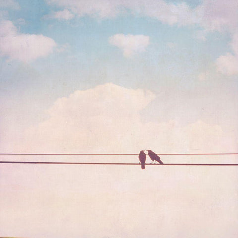 Birds on Wires II Black Modern Wood Framed Art Print by Brown, Thomas