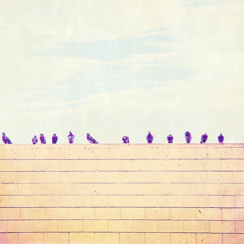 Birds on Wires III Black Ornate Wood Framed Art Print with Double Matting by Brown, Thomas