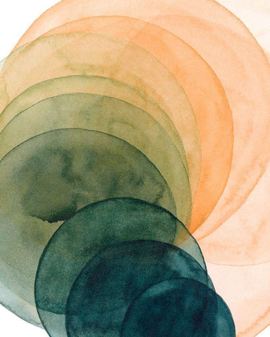 Crystal Spade II Black Ornate Wood Framed Art Print with Double Matting by Popp, Grace