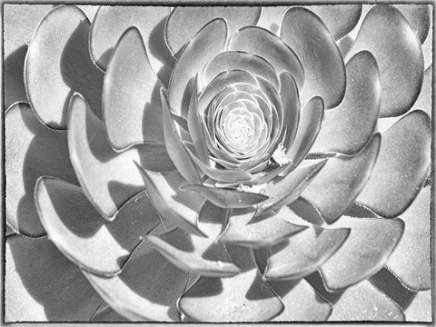 One After Another I Black Ornate Wood Framed Art Print with Double Matting by Hartson-Weddle, Ryan