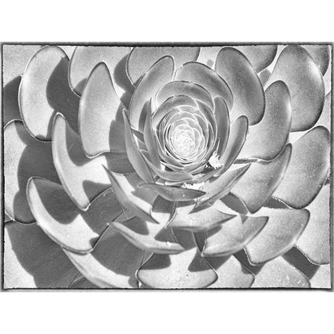 One After Another I Black Modern Wood Framed Art Print with Double Matting by Hartson-Weddle, Ryan