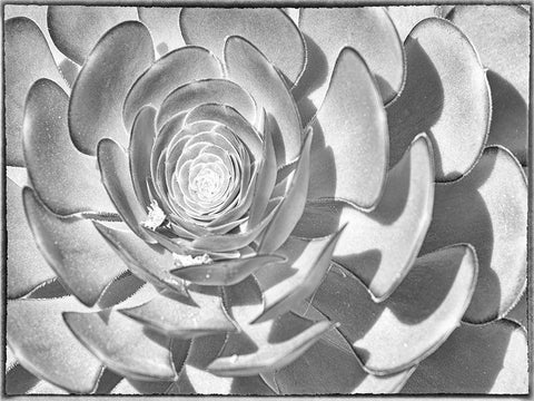 One After Another II White Modern Wood Framed Art Print with Double Matting by Hartson-Weddle, Ryan