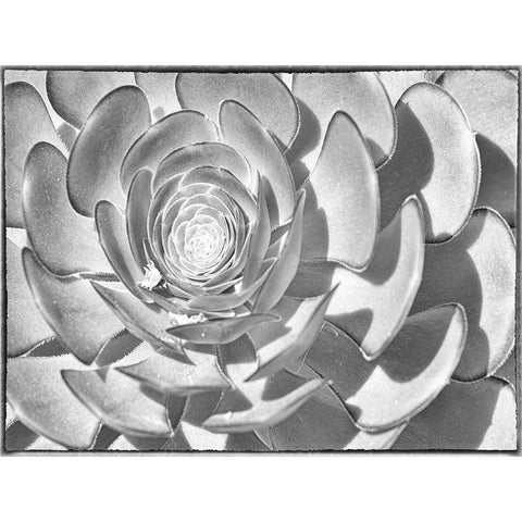 One After Another II Black Modern Wood Framed Art Print by Hartson-Weddle, Ryan