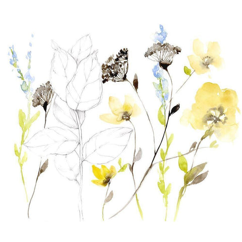 Wild Flowers and Contour I White Modern Wood Framed Art Print by Goldberger, Jennifer