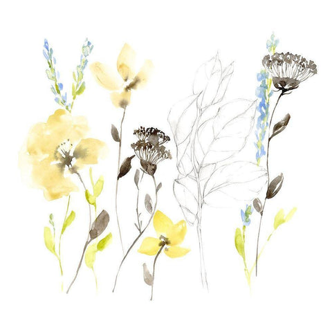 Wild Flowers and Contour II Black Modern Wood Framed Art Print by Goldberger, Jennifer