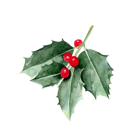 Christmas Holly II White Modern Wood Framed Art Print with Double Matting by Scarvey, Emma