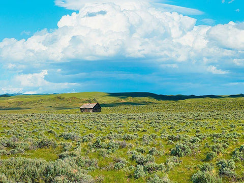 Barn Scene I White Modern Wood Framed Art Print with Double Matting by McLoughlin, James