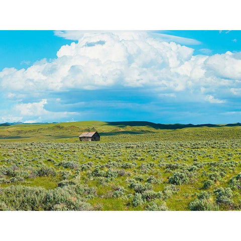 Barn Scene I Black Modern Wood Framed Art Print with Double Matting by McLoughlin, James