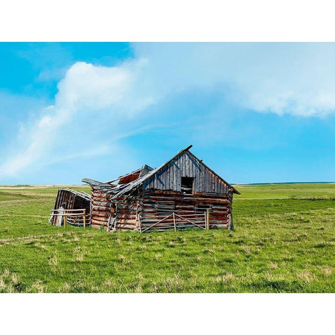 Barn Scene II White Modern Wood Framed Art Print by McLoughlin, James