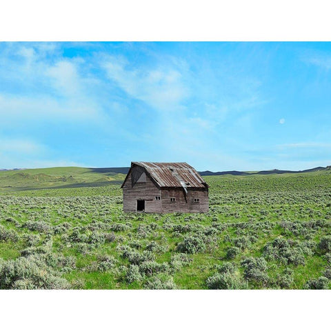 Barn Scene III Black Modern Wood Framed Art Print by McLoughlin, James