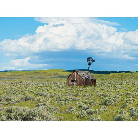 Barn Scene IV White Modern Wood Framed Art Print by McLoughlin, James