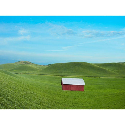 Barn Scene VI Gold Ornate Wood Framed Art Print with Double Matting by McLoughlin, James