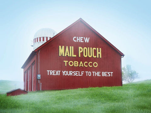 Barn Scene VIII Black Ornate Wood Framed Art Print with Double Matting by McLoughlin, James