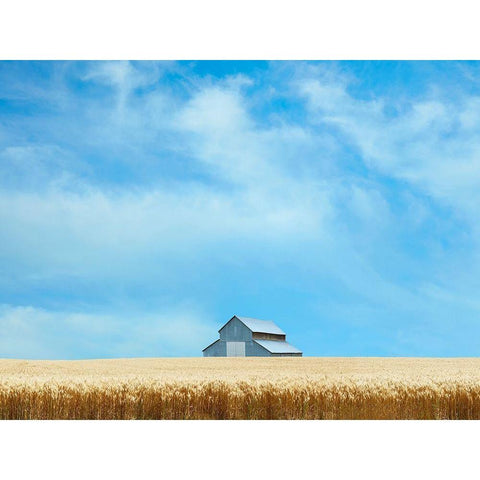 Barn Scene IX Gold Ornate Wood Framed Art Print with Double Matting by McLoughlin, James