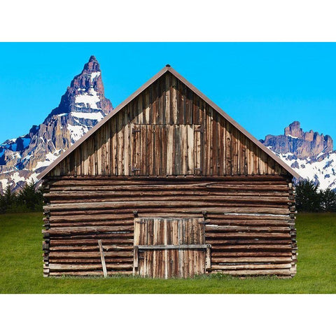 Barn Scene XI Black Modern Wood Framed Art Print with Double Matting by McLoughlin, James