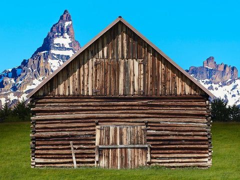 Barn Scene XI Black Ornate Wood Framed Art Print with Double Matting by McLoughlin, James