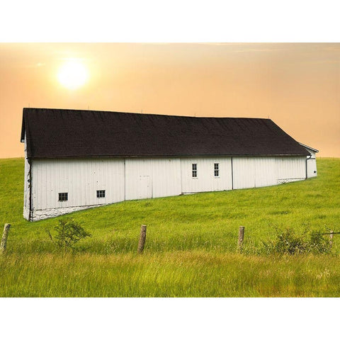 Barn Scene XIV Gold Ornate Wood Framed Art Print with Double Matting by McLoughlin, James