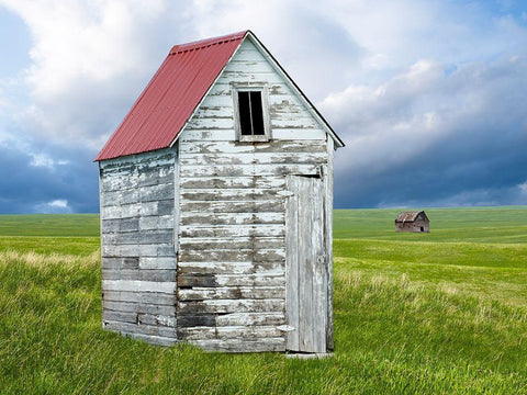 Barn Scene XVI Black Ornate Wood Framed Art Print with Double Matting by McLoughlin, James