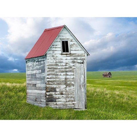 Barn Scene XVI Black Modern Wood Framed Art Print by McLoughlin, James