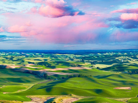 Farmscape Photo I White Modern Wood Framed Art Print with Double Matting by McLoughlin, James