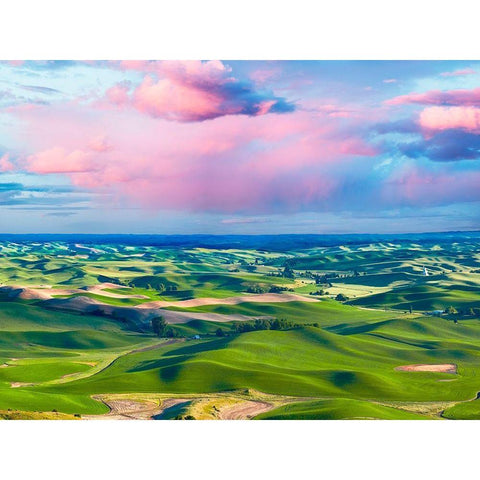 Farmscape Photo I Black Modern Wood Framed Art Print by McLoughlin, James