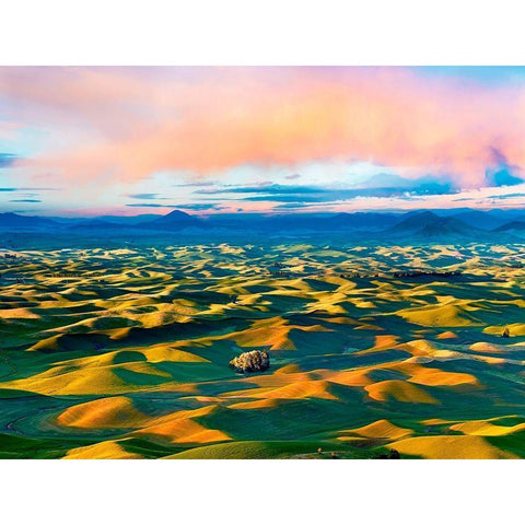 Farmscape Photo II Black Modern Wood Framed Art Print with Double Matting by McLoughlin, James