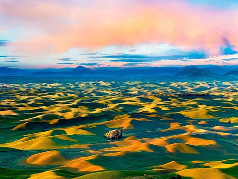 Farmscape Photo II White Modern Wood Framed Art Print with Double Matting by McLoughlin, James