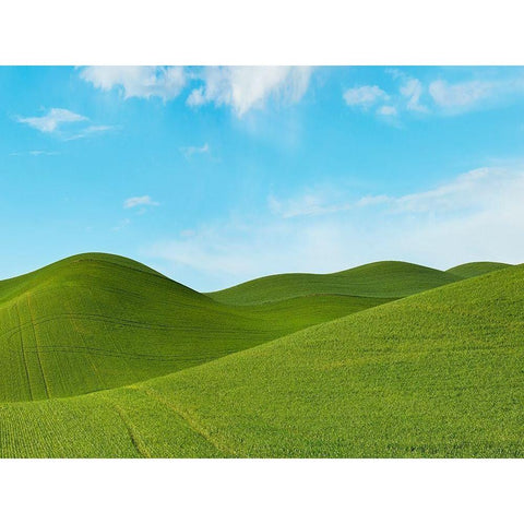 Farmscape Photo III White Modern Wood Framed Art Print by McLoughlin, James